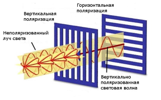 Поляризация